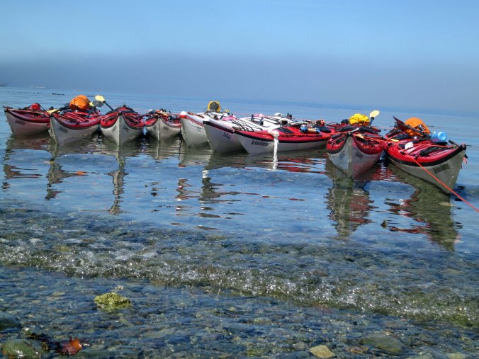 Kayaks belonging to the Sea Kayak Adventure group in the waters of Johnstone Strait, northeastern Vancouver Island.