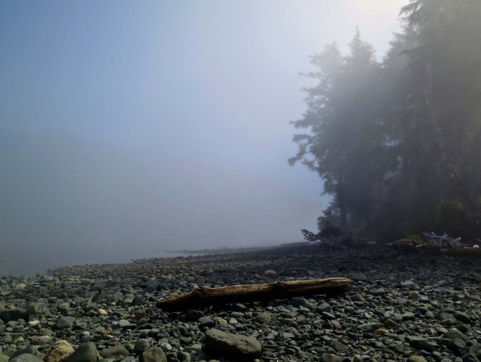 Vancouver Island cast on Johnstone Strait near Telegraph Cove. Photo by Curtis Mekemson.
