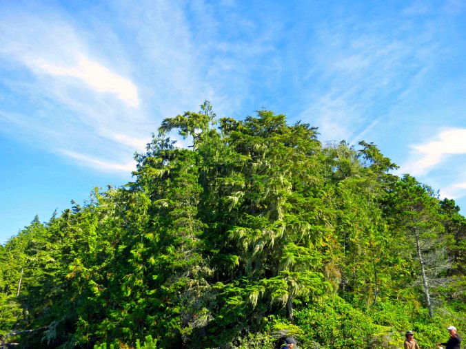 Sky and clouds meet forest on Hanson Island in the Johnstone Strait of British Columbia. Photo by Curtis Mekemson.