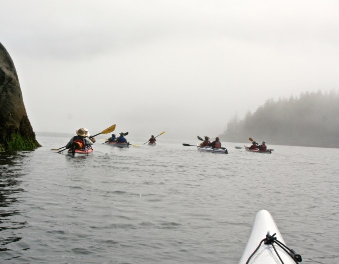 Sea Kayak Adventure group works its way around Hanson Island, British Columbia in the fog.