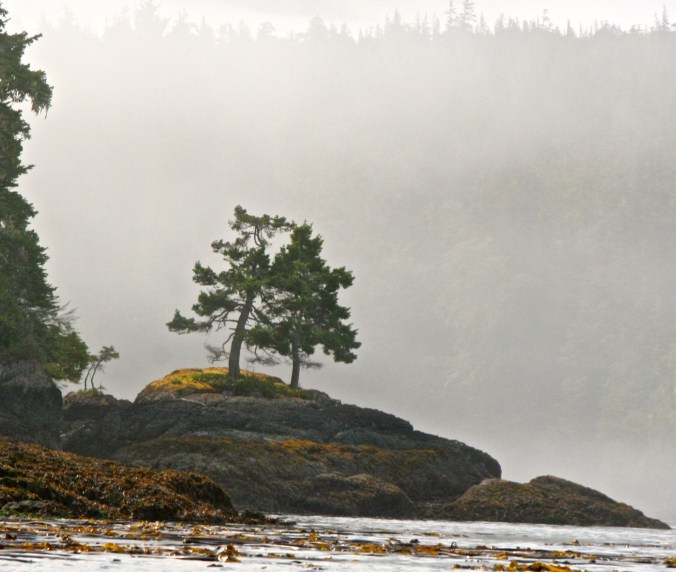 By the time we had worked our way around the end of Hanson Island, the sun was beginning to peak through. (Photo by Peggy Mekemson.)