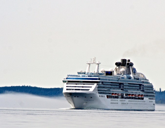 The cruise ship. You can imagine how big the ship seems from the perspective of a kayak. You do not want to get in the way. (Photo by Peggy Mekemson.)