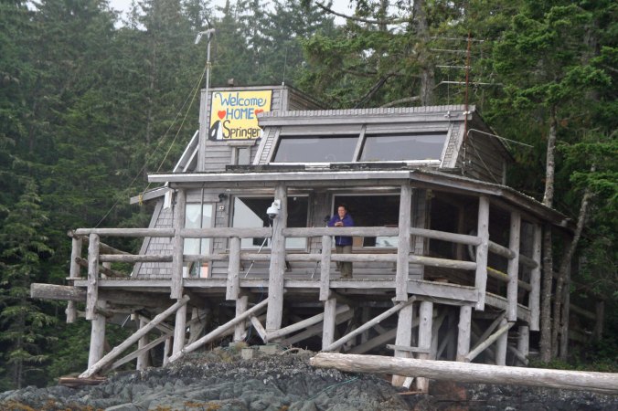 A frontal view of the Orca Lab with a Welcome Home Springer sign. Springer is the poster child of reuniting orca whales with their families. Orphaned as a child, she wandered far from home and begin approaching fishing boats for companionship. Close to starving, she was captured, fed and returned to her pod where family members adopted her— and taught her to stay away from fishing boats. Each year, she returns to Johnstone Strait.