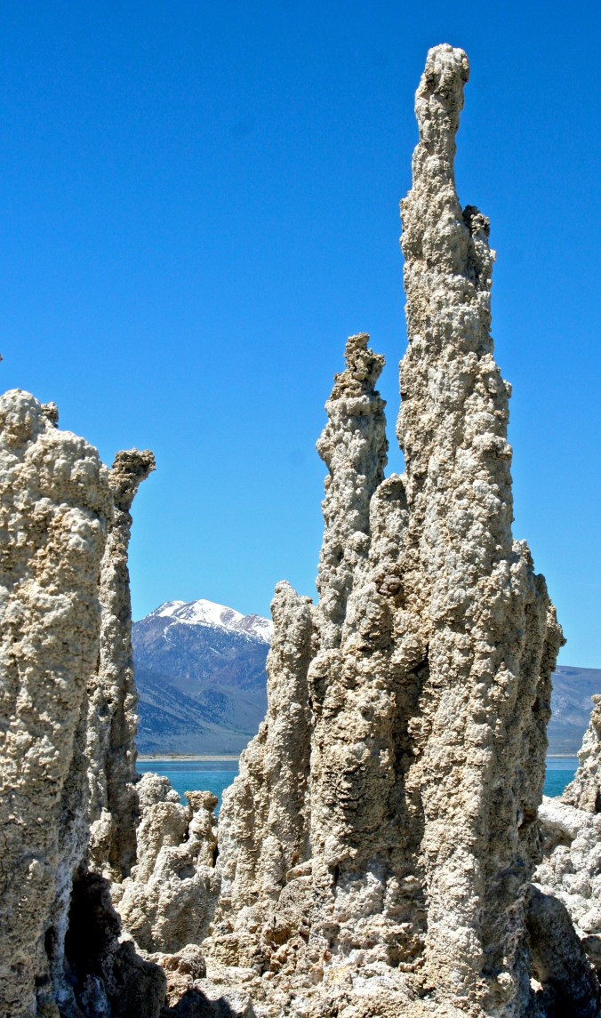 The cover: A tufa tower in Mono Lake with Sierra Nevada Mountains in Background. Eastern California.