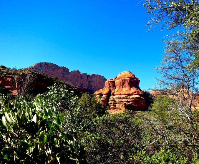 A view up Boynton Canyon in Sedona, Arizona. Photo by Curtis Mekemson.
