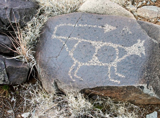 Indian rock art found in New Mexico.