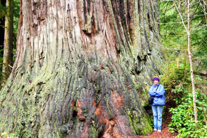 Tasha's mom, Peggy, stands next to a redwood tree.