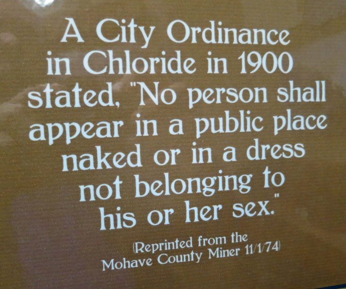 I can guarantee you that you would not find this sign at Burning Man where the guy costume of a day is often a tutu.