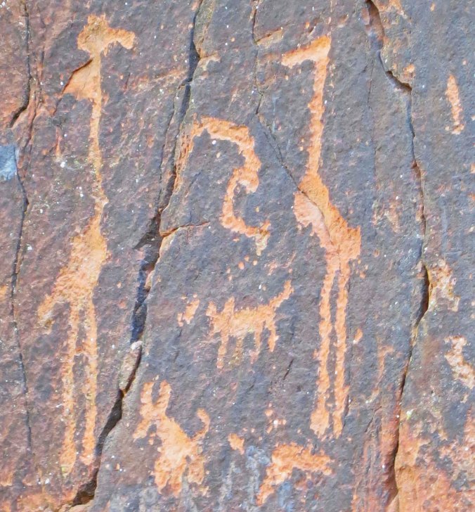 Big birds and camp dogs, four of !032 petroglyphs at the V-bar-V Heritage Site in the Verde Valley of Arizona.