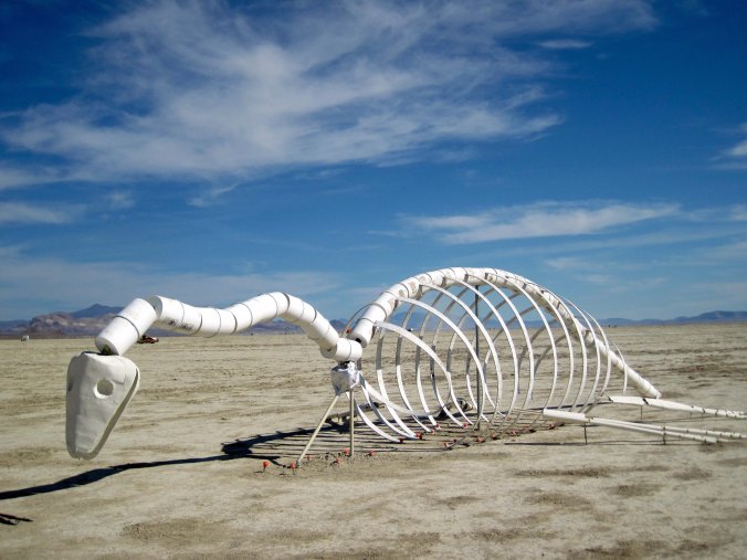 This dinosaur skeleton was also wandering the Playa.