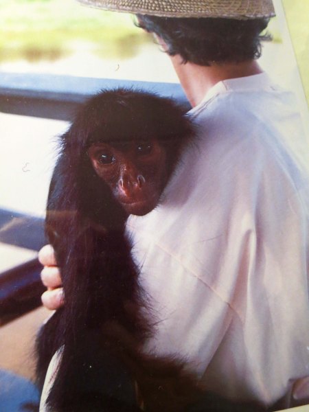 Peggy's monkey, on the other hand, was something of a sweet heart. There was a slight matter of flea bites, however.