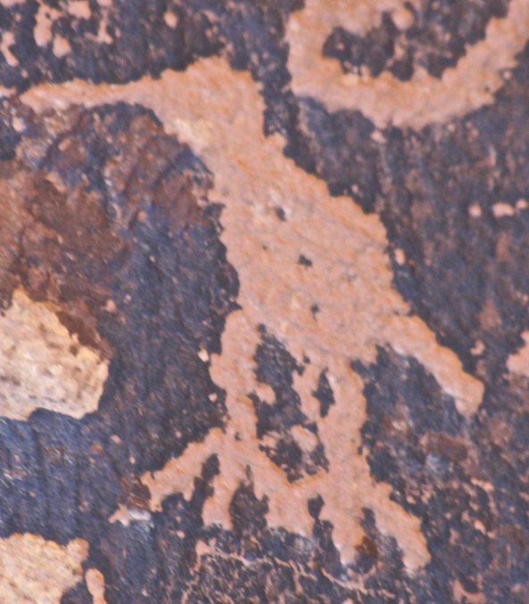 And Big Bird is down at the pond.