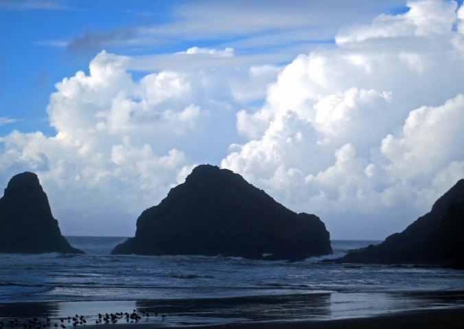 Cumulous clouds outline sea stacks in Cape Cove on the Oregon Coast.
