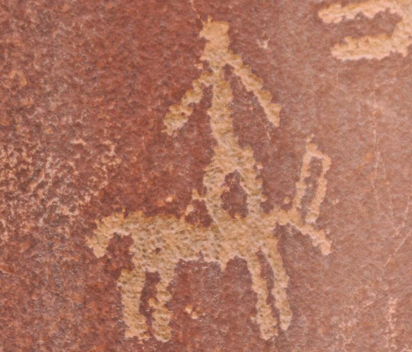 Stands On Horse will perform his amazing trick.