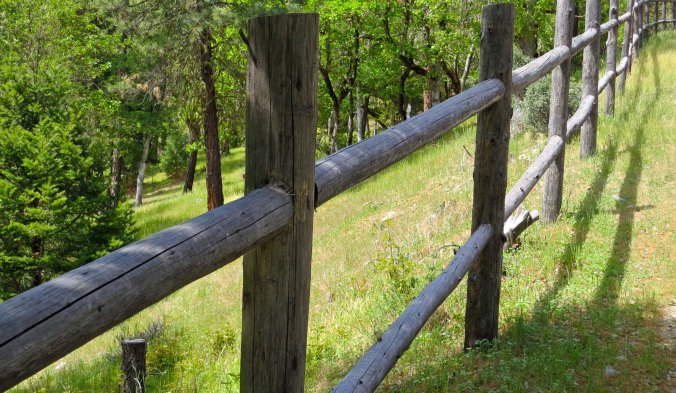 While our front fence is a fairly serious fence, our back fence is strictly for aesthetics. It is an open invitation to the deer, cougars, bear and other wildlife that live in the forest to "come on down." We'd even welcome Bigfoot. (grin.)