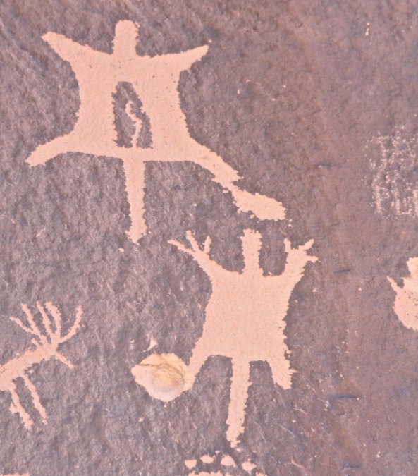 Two flying squirrels were seen leaping between Ponderosa Pines.