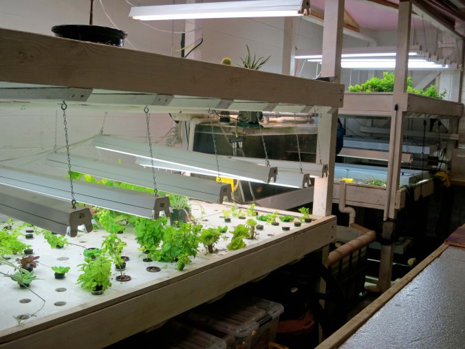 A mini-garden located at the Generator in Reno, Nevada.