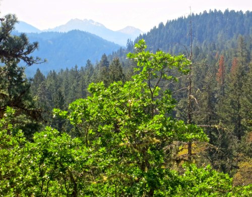 Haze from Siberia fills the valleys between our homes and the Red Butte Mountains.