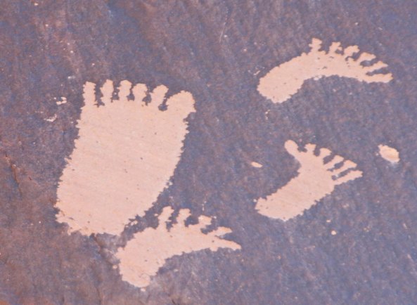 Having been warned, Walks on Feet went into the canyon anyway. Now he is being stalked by Momma Bear.