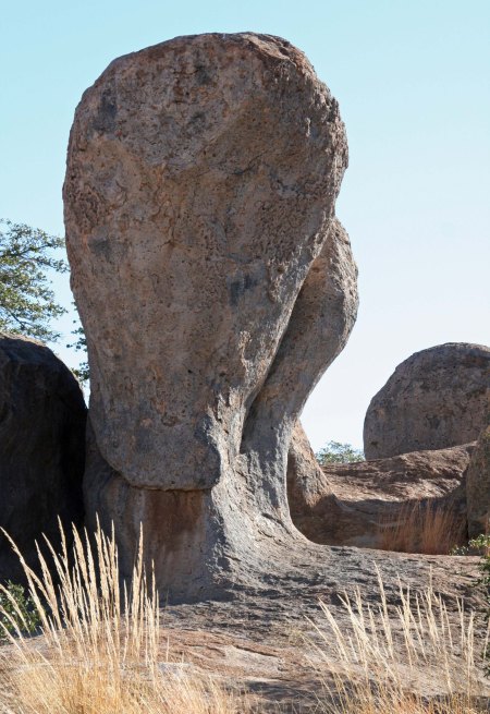 City of Rocks State Park near Silver City, New Mexico is filled with uniquely carved rocks.