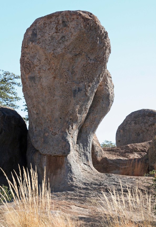 City of Rocks State Park near Silver City, New Mexico is filled with uniquely carved rocks.