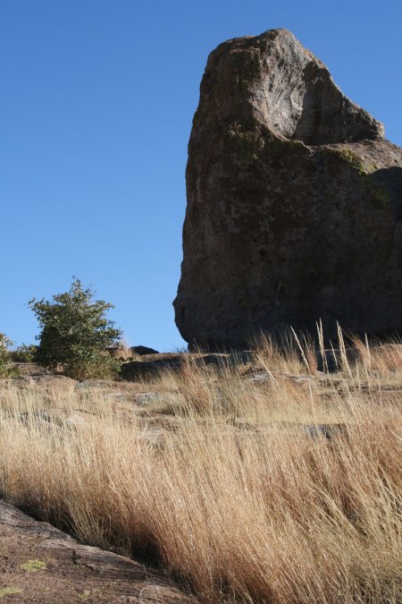 Golden grass provides an interesting contrast to the rocks.