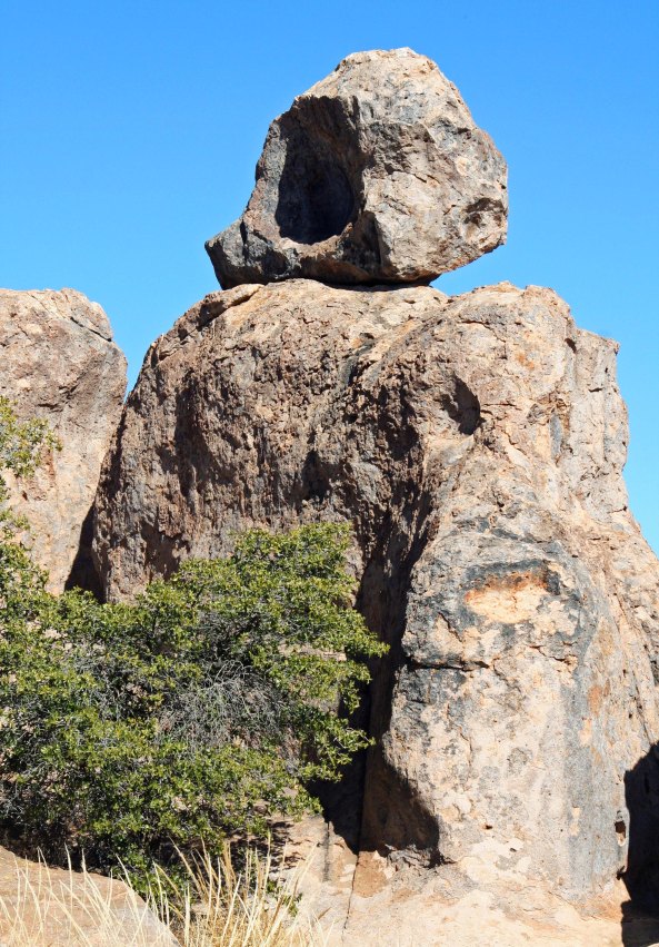 The City of Rocks State Park near Silver City New Mexico.