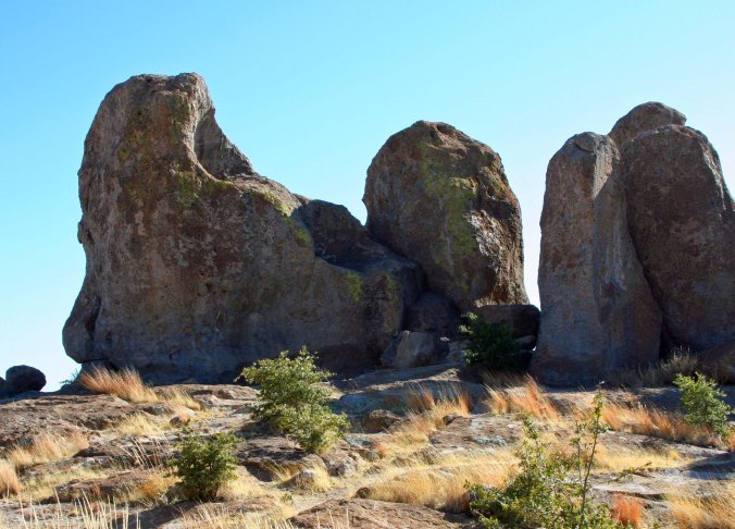 City of Rocks State Park in southwestern New Mexico.