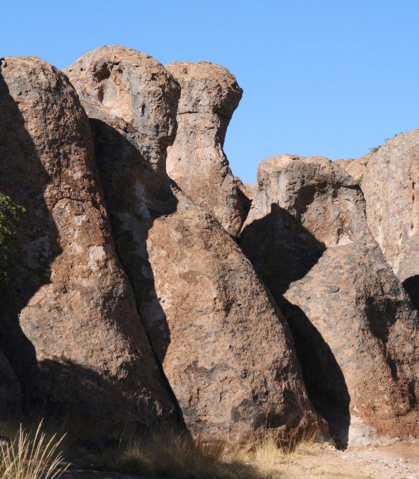 City of Rocks State Park near Deming, New Mexico.