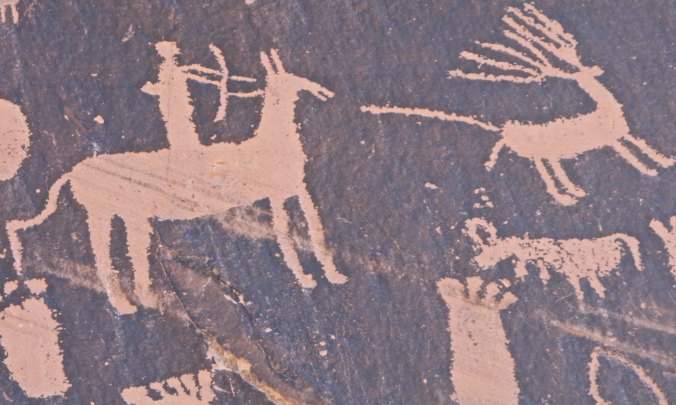 Success! Always Gets His Buck shoots elk in butt.