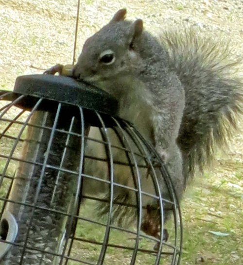 "Let's see if I can unscrew this top."