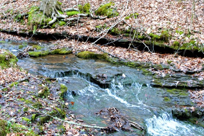 Numerous trails lead off of the Trace, often leading to babbling brooks.