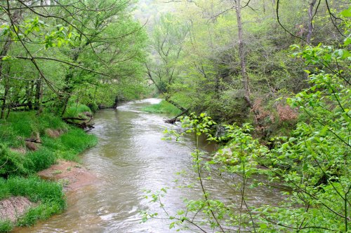 The Mekemson side of the family arrived in America in the 1750s. By the Revolutionary War, they were living alongside Deer Creek in Maryland. (Shown above)