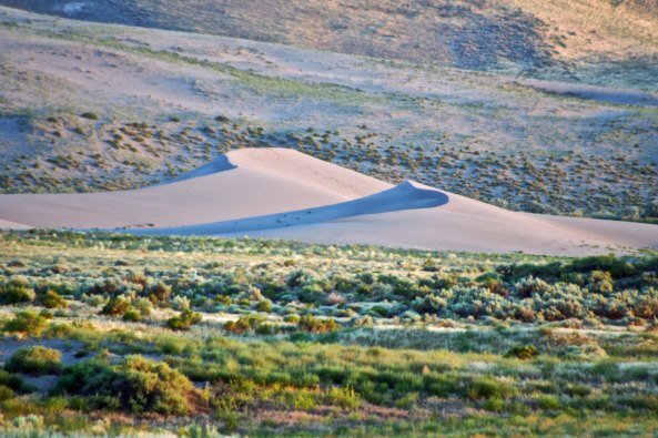 Later in the day, the dunes took on an almost purple tint as the sun went down.