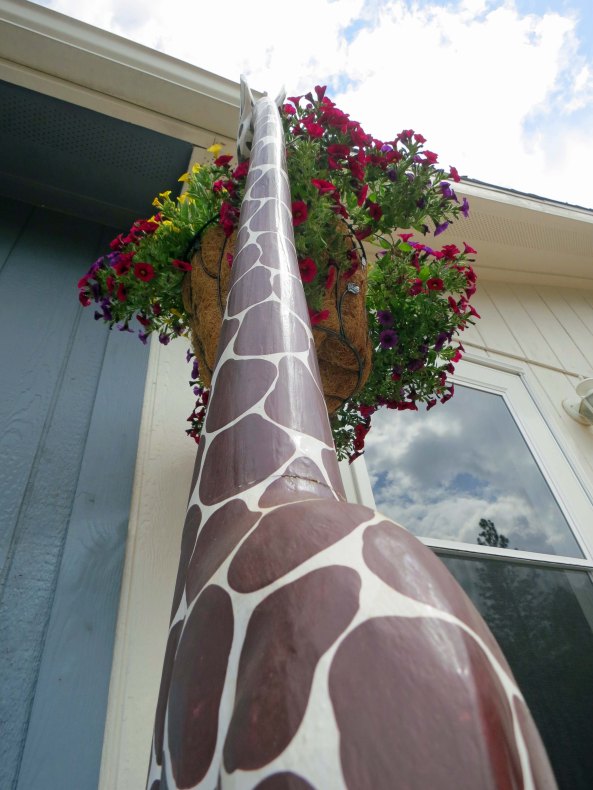 And apparently he was helping himself to all of our other hanging plants.