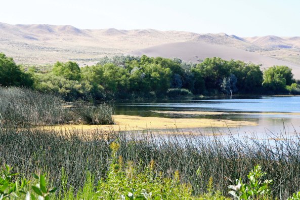 A view of the lake.