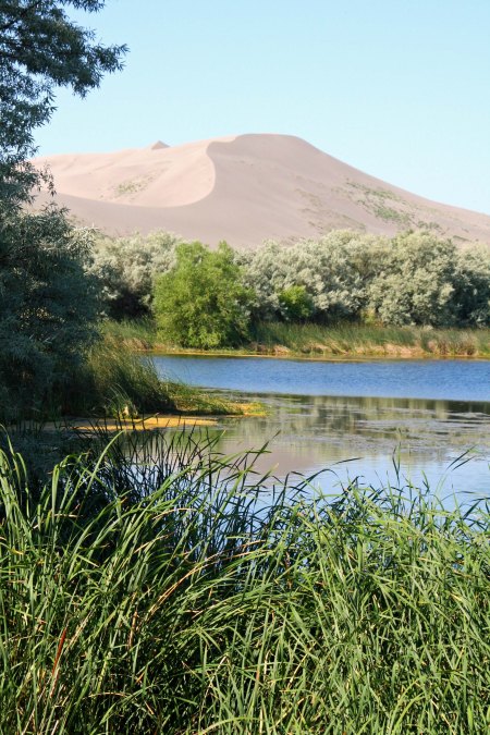 The small lake backed up by the 470 high Dune gives the area an oasis feel.