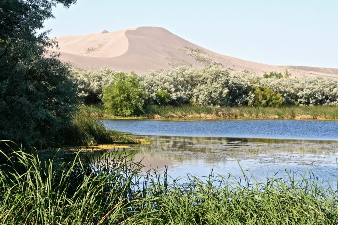 Peggy and I discovered Bruneau Dunes State Park after we had been up in Central Idaho admiring the Sawtooth Mountains.