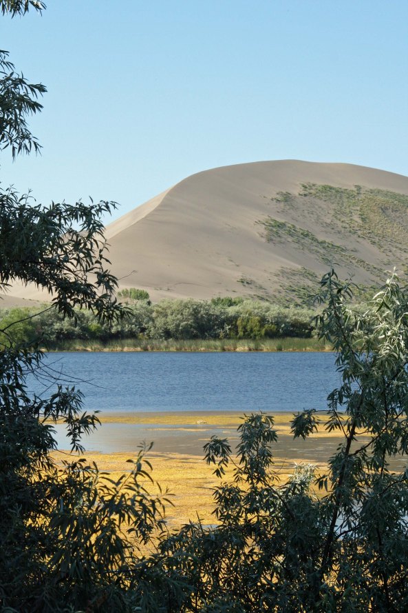 Moving around the lake provided different perspectives on the dune.