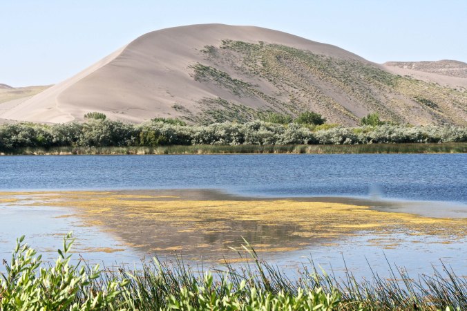 This view provided a reflection of the dune.