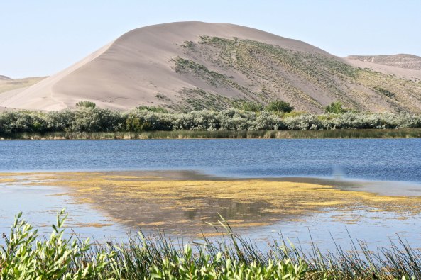 This view provided a reflection of the dune.