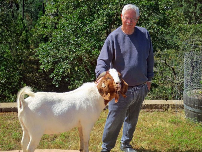 I scratched Rambo behind the ears and calmed him down.