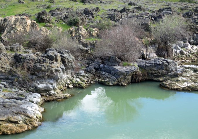 A final shot of a small cove on the river. NEXT BLOG: Tarzan shows me the light.