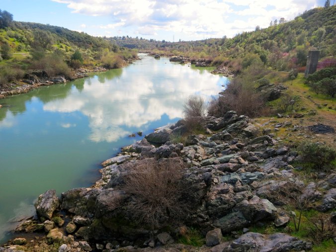A warm day with just enough clouds to make in interesting, provided a perfect day for a walk on the Sacramento River.