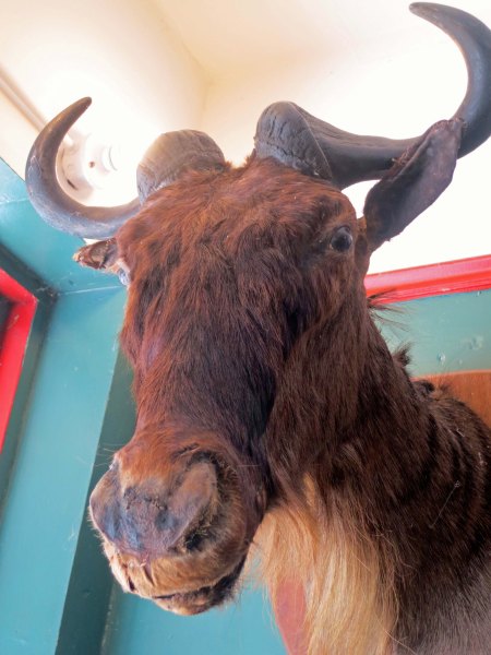 Apparently he has lived there a while.