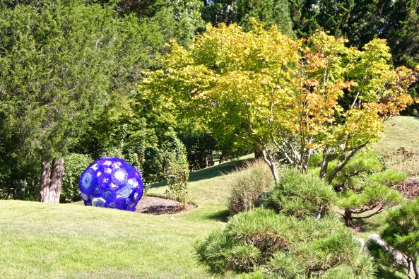 Chihuly is an expert at placing his work in natural settings.