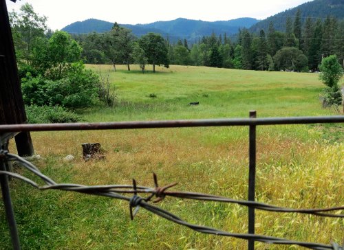 In case you are wondering, Buncom is out in the country. You know you are 'out West' when you see the barbed wire.