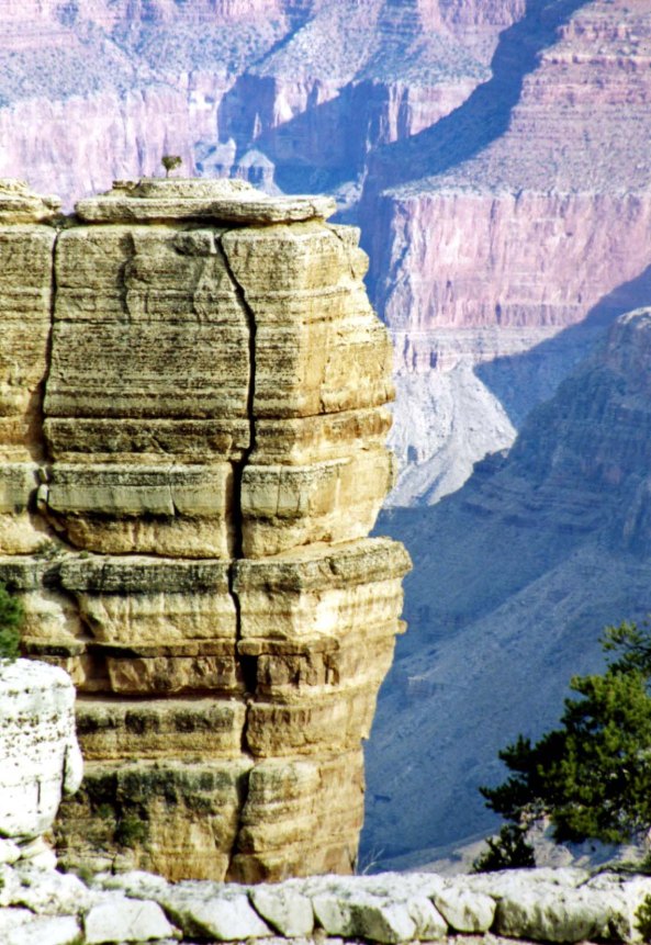 Sitting on the edge of the Canyon isn't for the faint-hearted. One can fall hundreds of feet.