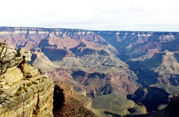 The Grand Canyon is a world treasure. I've backpacked into it several times and rafted the Colorado River through it. Once I even rode a mule into the Canyon.