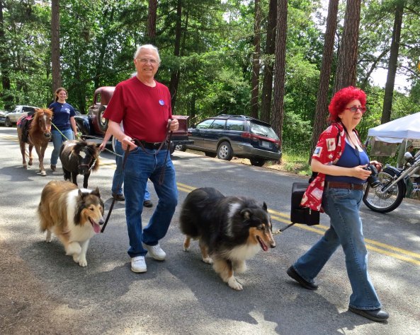 The parade is also a good excuse to walk your dog, and show off your orange hair.